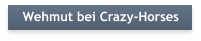 Wehmut bei Crazy-Horses